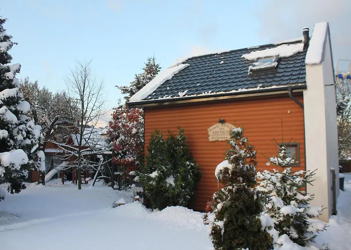 Caloroczny Z Patio Władysławowo